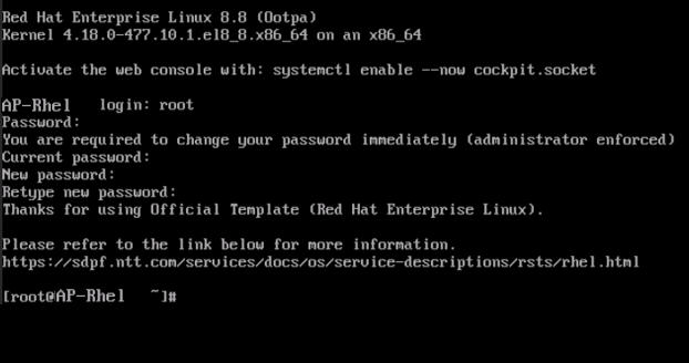 ../../../_images/modelC_SV-RHEL-ap-conlogin3.png