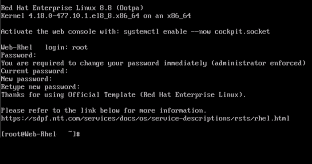 ../../../_images/modelC_SV-RHEL-conlogin3.png