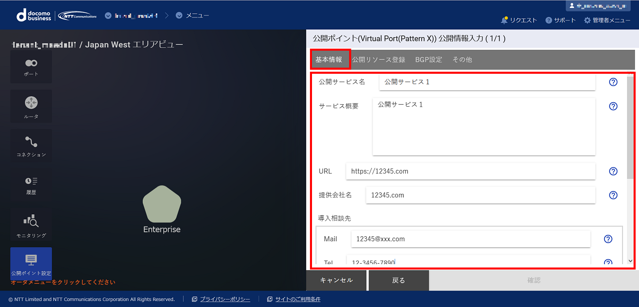 ../_images/VPort%28pattern-x%29_EPoint-Entry_Input-Info.png